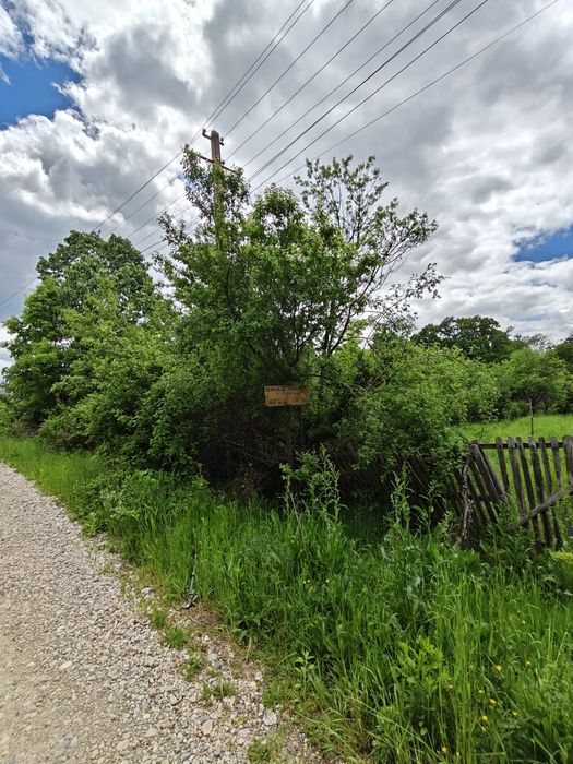Teren Intravilan 1.472 mp Cotmeana - Lintești, Ag.