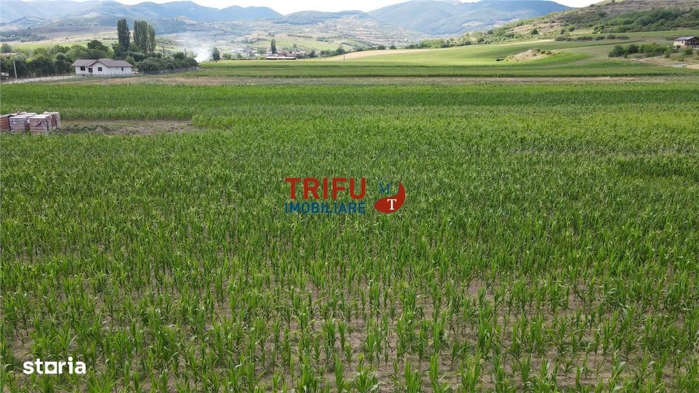Teren de vanzare Ighiu 1500mp