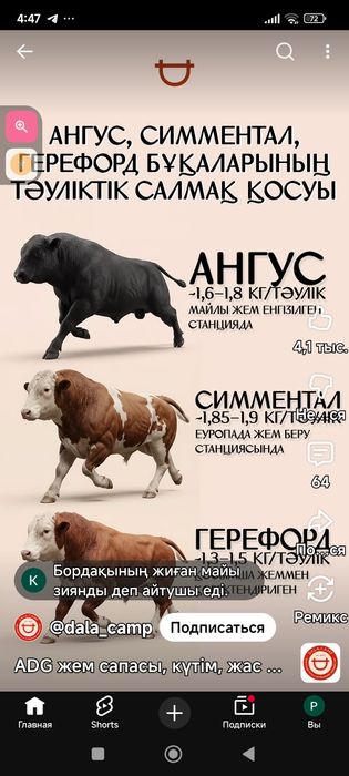 Инвестр керак чорвачилик учун