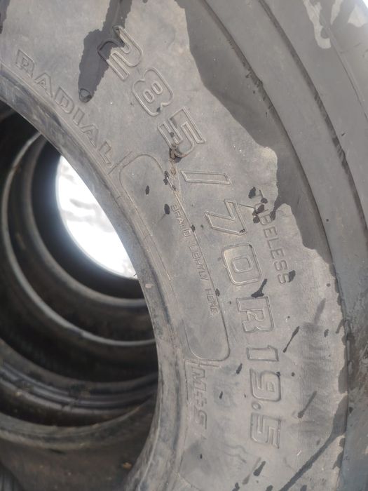 Донгелек сатылаты