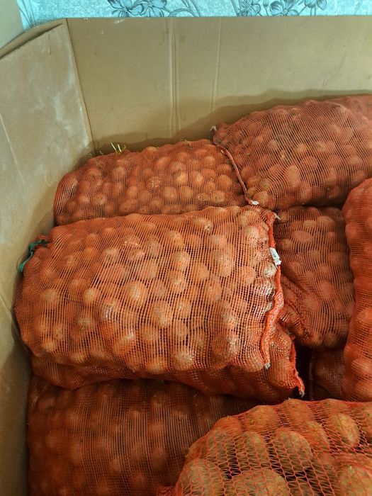 Продам корофель семейная