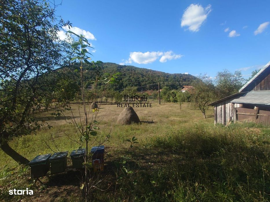Casa si Teren Criscior