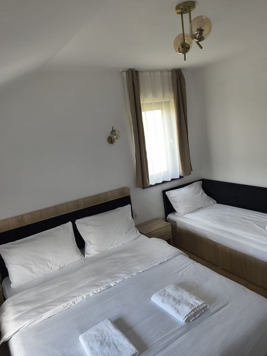 Cabană de inchiriat Valea Avrigului 7 camere  cu băi proprii
