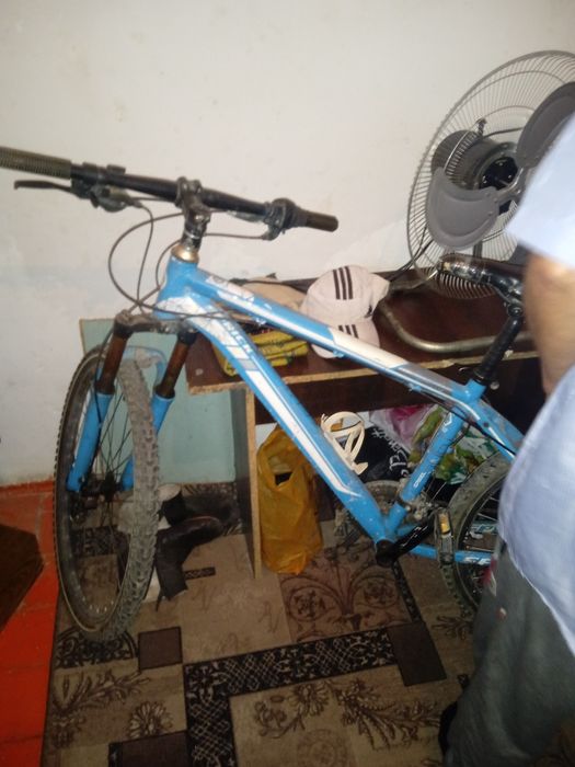 Хорошее состояние велик