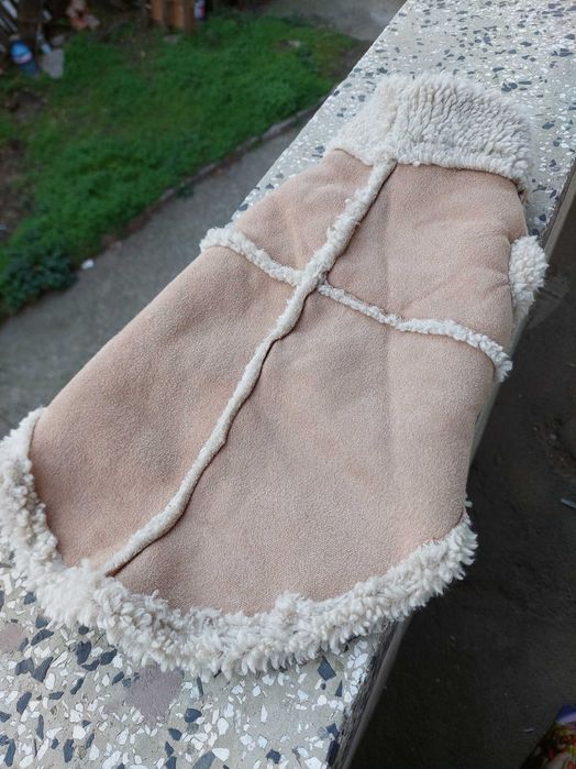 Дрех а за дребна порода куче