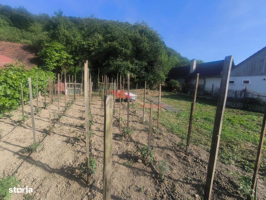 Teren Intravilan, Chirales , 15 Ari