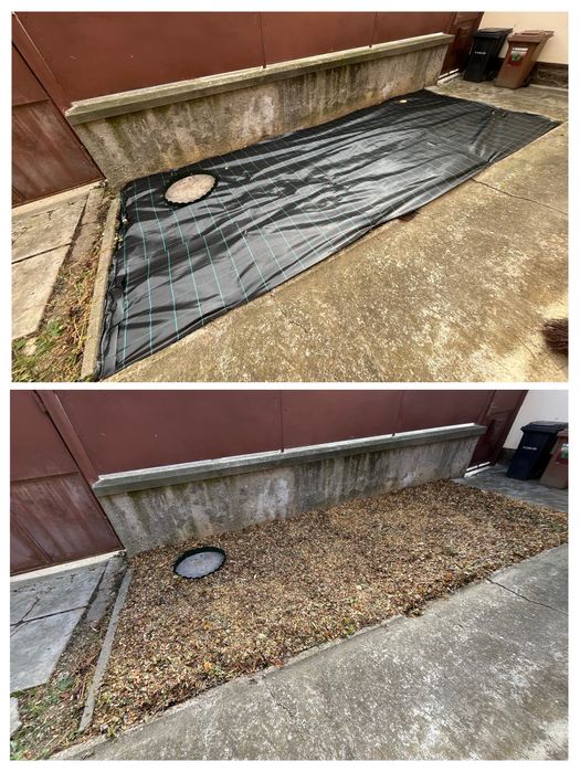 Gradinarit, toaletare copaci, tocat crengi, mentenanta spatii verzi