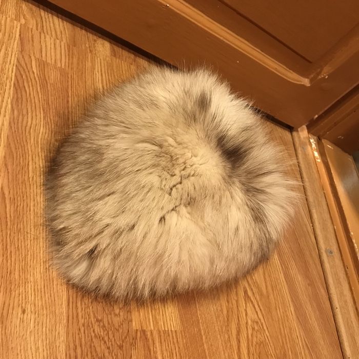 Caciula blana naturala calduroasa doamna par natural alba