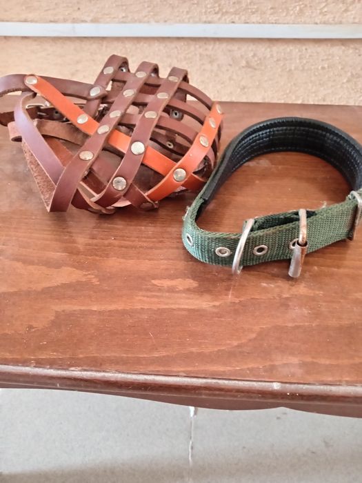 Намордник и поводок для собаки