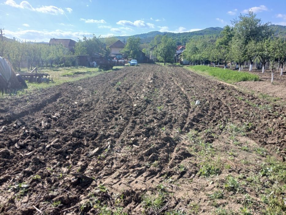 Vand Casa  Bujoreni Valcea