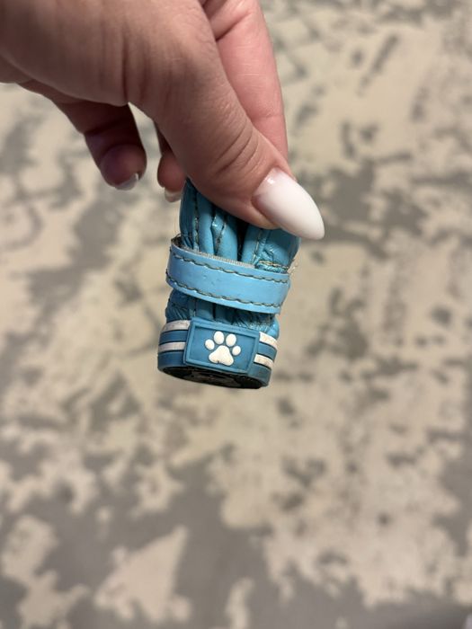 Отдам ботиночки для собак