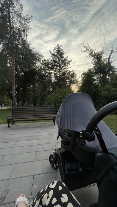 Коляска Tutis Mio Plus Thermo 2в1