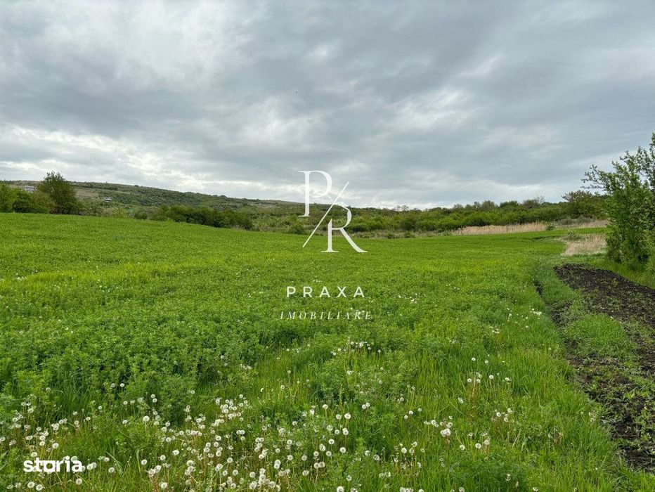 Teren extravilan, 2165 mp, priveliste, zona Dealul Fanatelor!