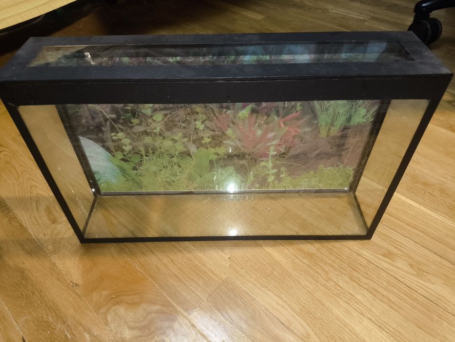 Аквариум для рыб