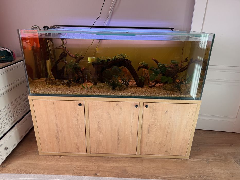 Продается Аквариум и рыбы.