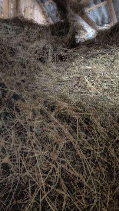 Fân fân fân fân calitate bună