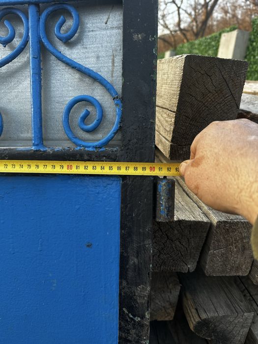 Porta acces auto si poarta pietonala