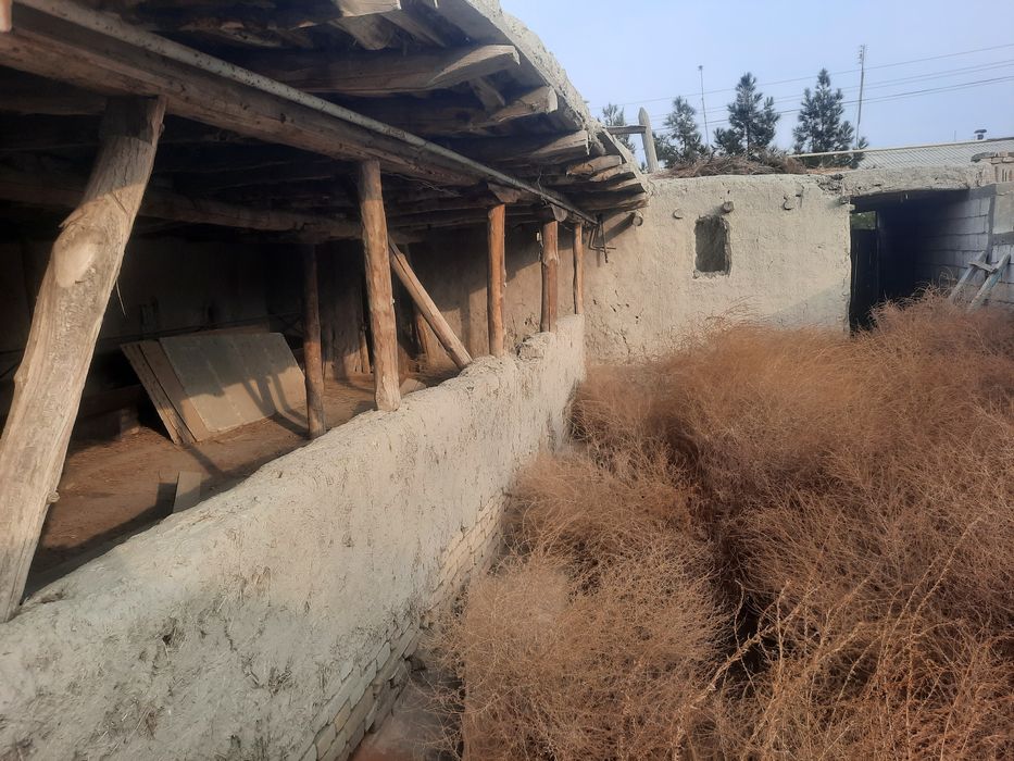 Hovli sotiladi vang'ozi