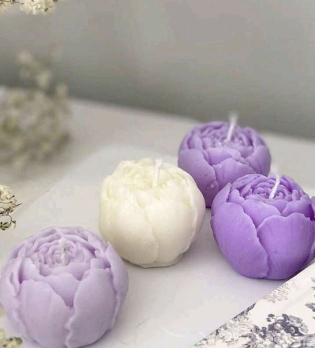 Нови модели молд