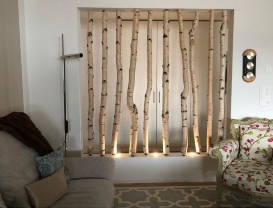 Trunchiuri / rondele / crengute mesteacan alb / Mesteacan decorativ