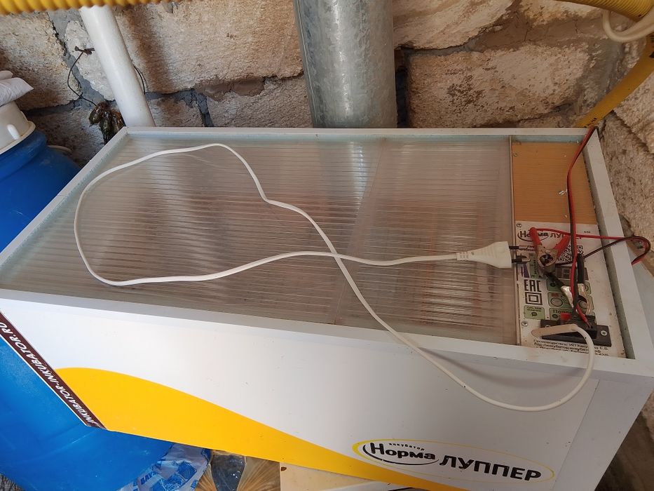 Инкубатор сатылад