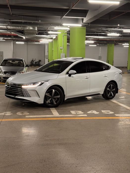 Chazor full 4 pizitsa