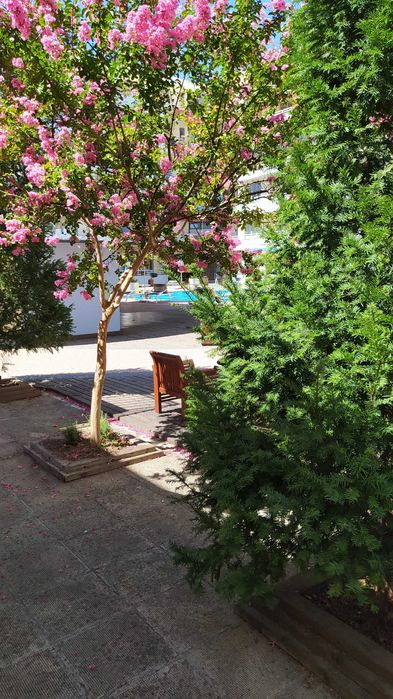 Продава се Едностаен апартамент в к.к. Слънчев бряг - 52 кв.м за 638 €/кв.м - Снимка #19