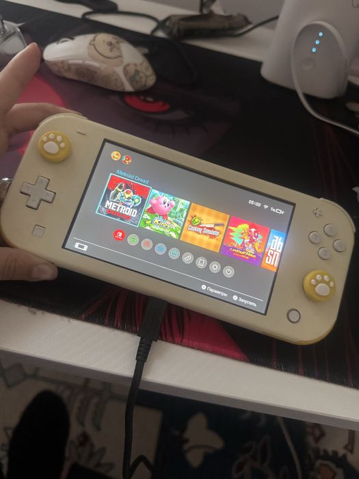 Nintendo Switch Lite