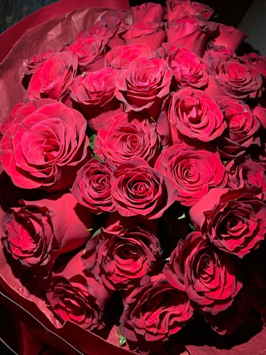 Цветы цветок цветы