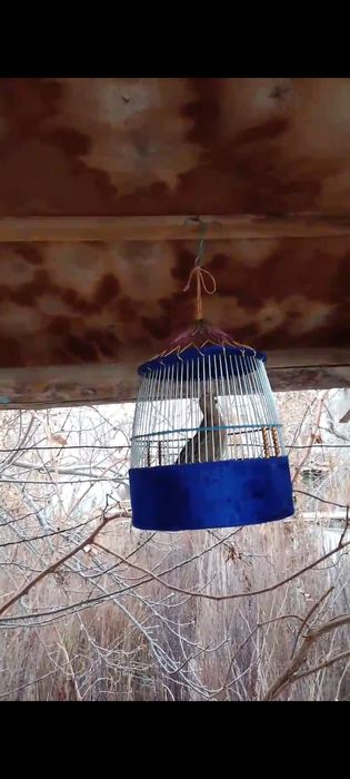 Bedona italia sayroqi