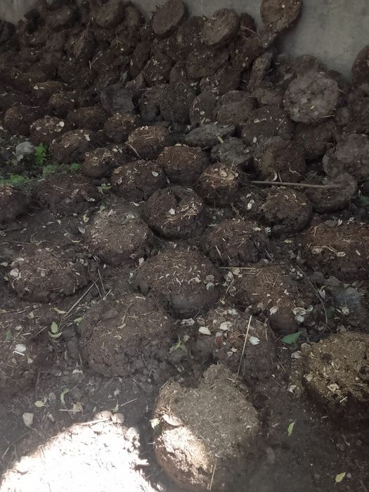 Тезек сатылады құйылған