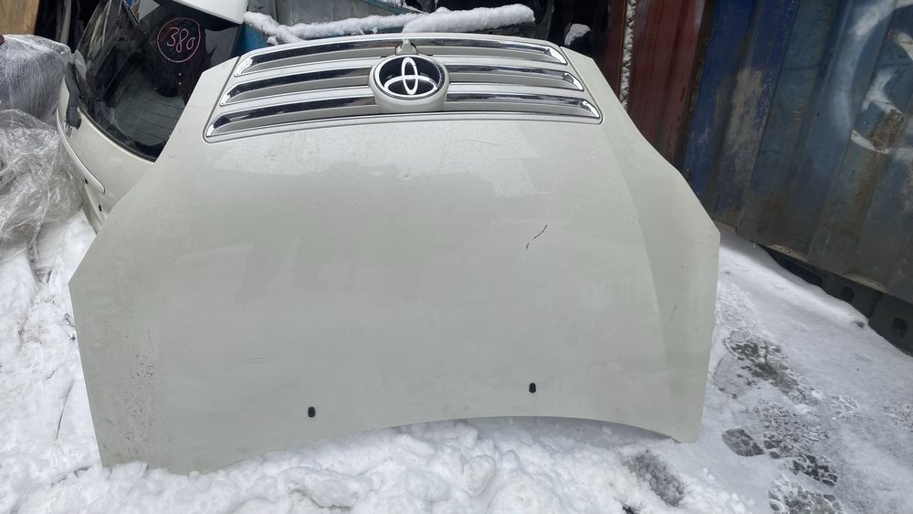 Ноускат Ипсум S комплектация