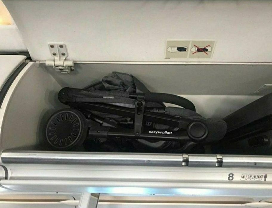 коляска Easywalker Buggy XS в цвете desert pink ( Возраст 0+ мес.)