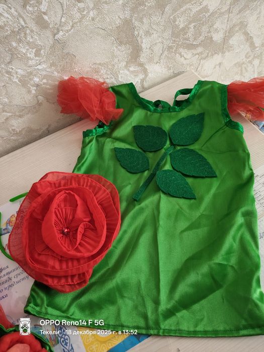 Новогодний костюм Розы.