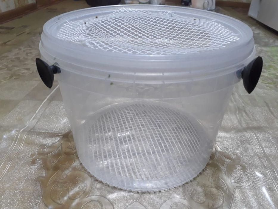 Отсадник самодельный для мальков