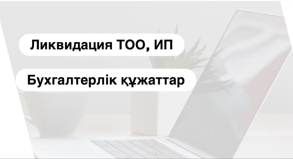 ИП жабу/ТОО жабу/Бухгалтер/ОУР/Ликвидация/ЭСФ/ЭЦП/Отчет