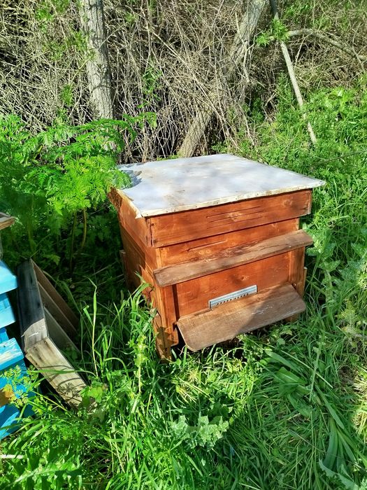 12 рамкови  Кошери с магазините .