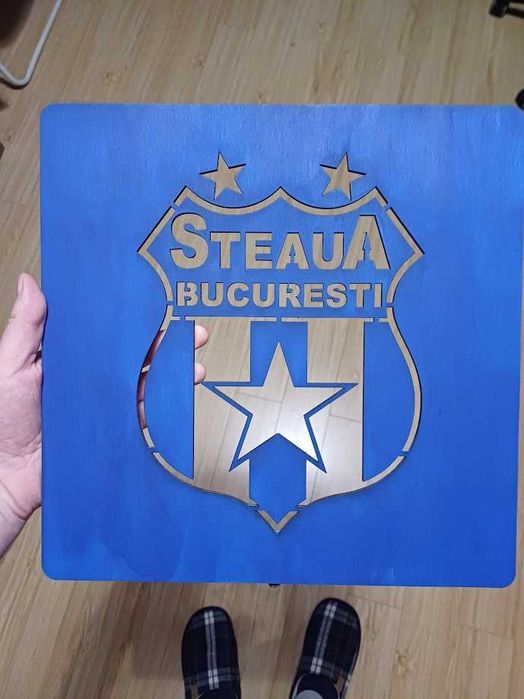 Panou LED Steaua București