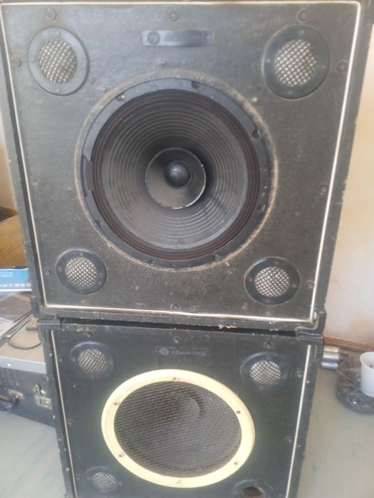 Динамики 100ват широко полосный 12 дюймовый