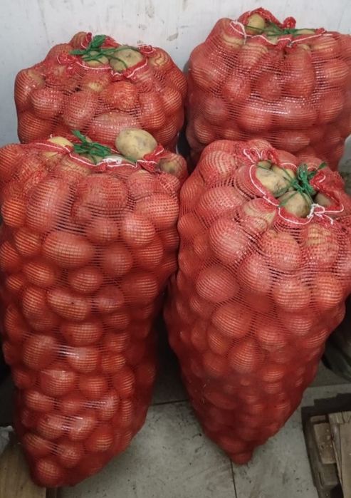 Картофель домашняя