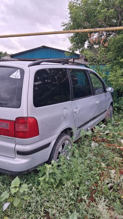Продам Сият альхабра