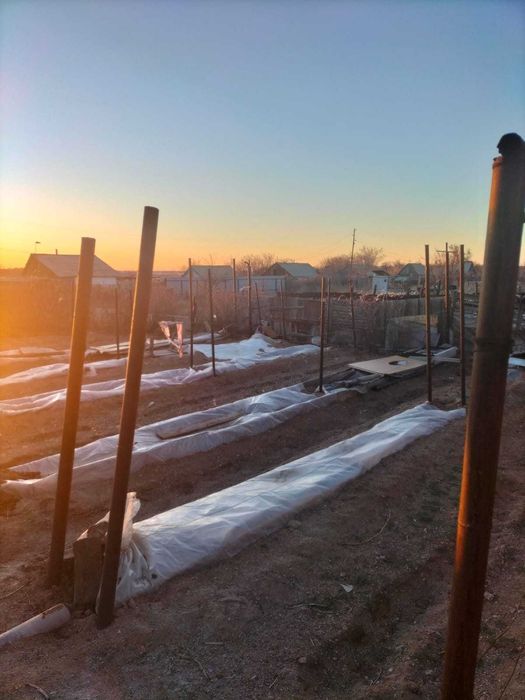 Продам дачу с домом в Балхаше