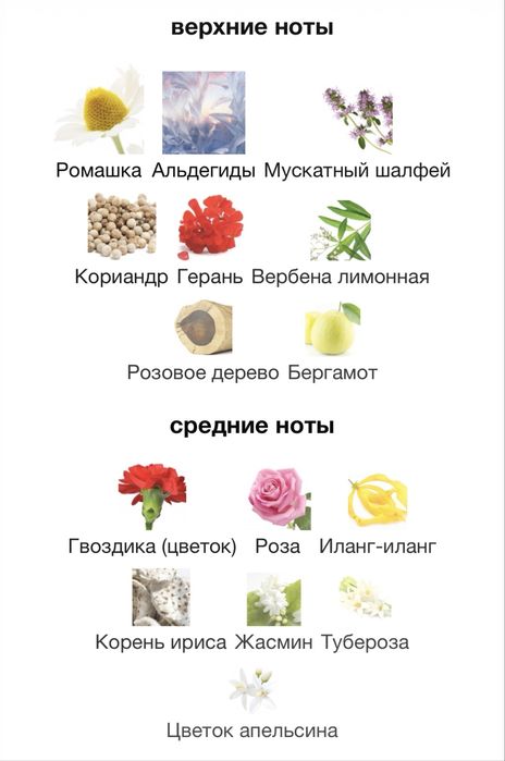 Clinique Aromatics Elixir EDP 100 ml