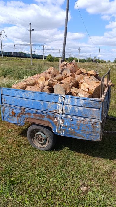 Продам дрова сосну