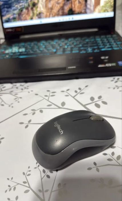 Asus Tuf Gaming F15