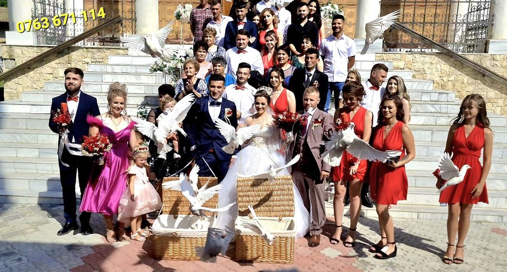 Porumbei albi pentru nunta Constanta