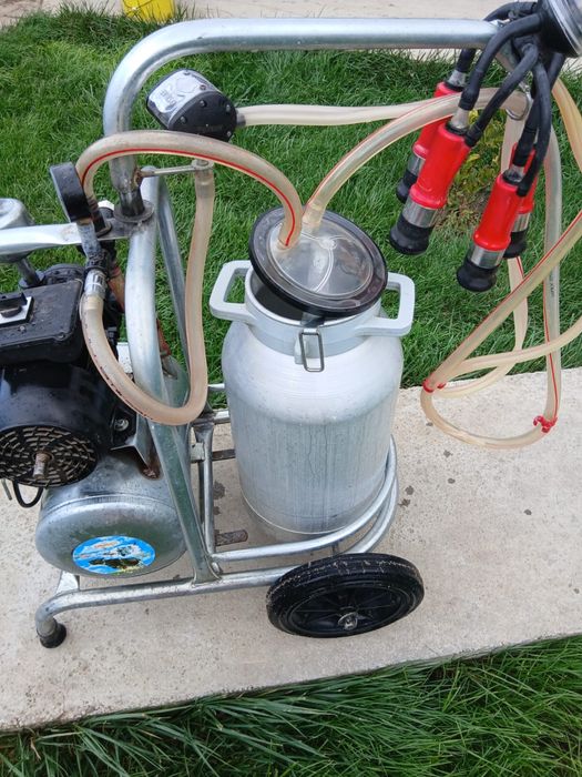 Aparat muls disponibil