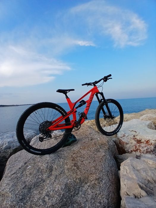 Canyon spectral 5.0