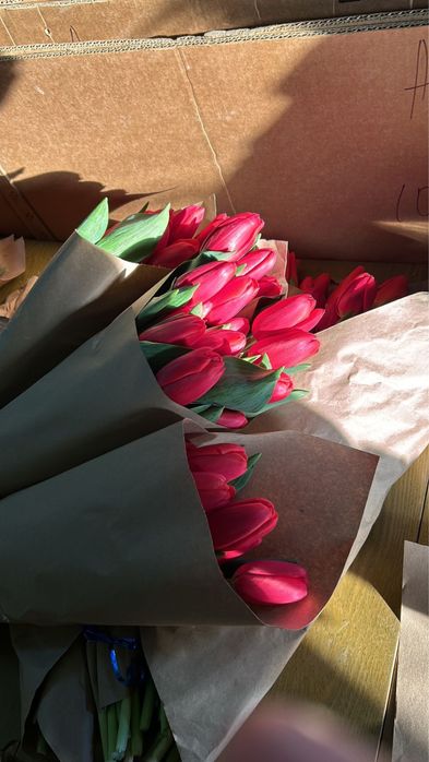 Крупный тюльпан.