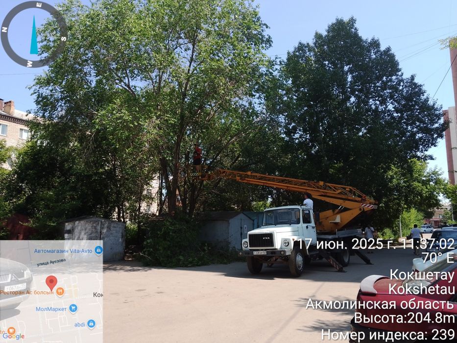 Кронирование,спил деревьев.